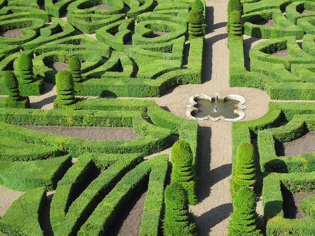 villandry, chateau, loire, nature, france, garden, french, indre-et-loire, hedge