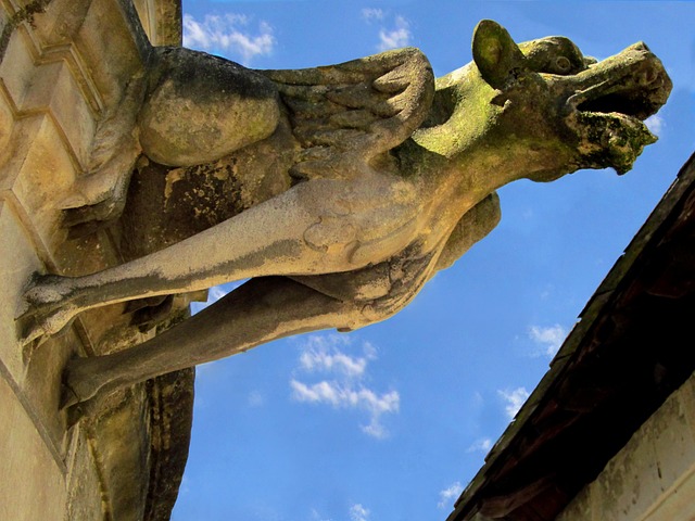 gargoyle, st gatien cathedral, tours, indre-et-loire, france, medieval, french, gargoyle, gargoyle, gargoyle, gargoyle, gargoyle