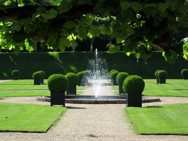 château de villandry, gardens, indre-et-loire, france, castle, villandry, french, renaissance, green castle