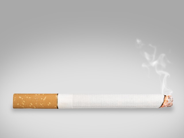 cigarette, smoke, smoking, ash, smoker, cigar, burn, dead, harmful to health, to smoke, unhealthy, enjoyment, seeks, highly addictive, tobacco, fatal, lung cancer, glow sticks, cant, cigarette, cigare