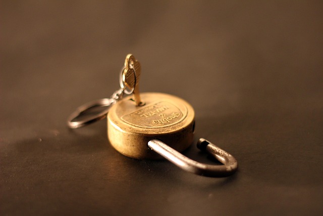 padlock, unlocked, lock, key, gold, close, security, unlock, protection, safe, safety, secure, password, protect, privacy, open, access, safeguard, brown security, brown safety, brown key, brown close