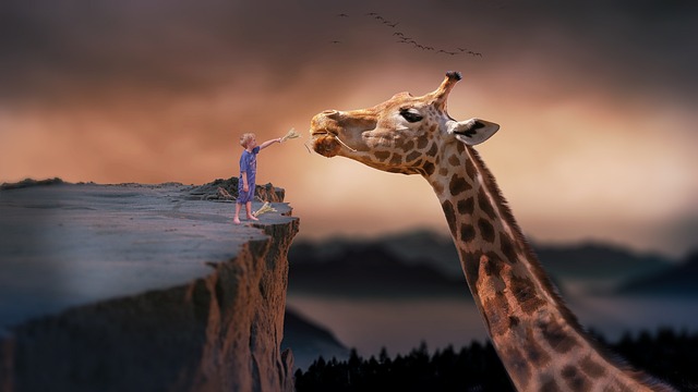 giraffe, child, nature, dream, fantasy, feeding, boy, fairytale, dreaming, nature wallpaper, giraffe, giraffe, giraffe, giraffe, giraffe, dream, dream, fantasy, fantasy