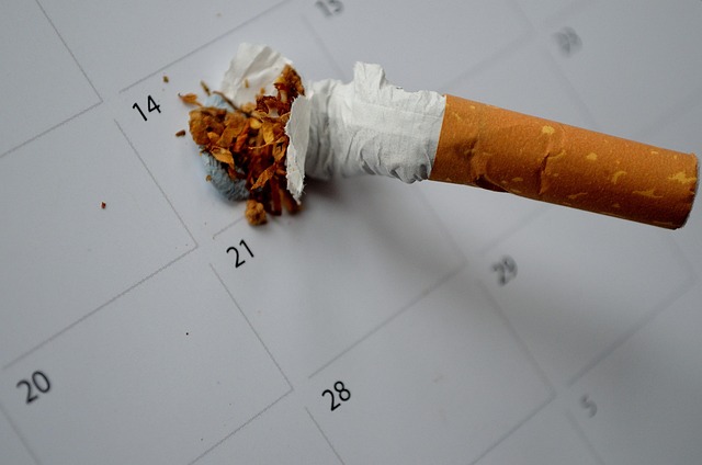 your, stop, date, decision, life, cigarette, smoking, habit, addiction, health, illness, money, smell, smoke, lifestyle, macro, help, end, cancer, stinks, gray money, gray health, gray help, gray life