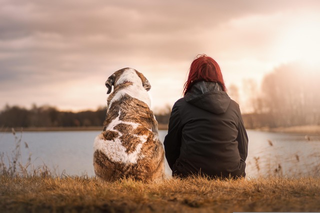 happy holidays, woman, dog, pet, friends, suit, nature, sunset, together, friendship, camaraderie, animal, best friends