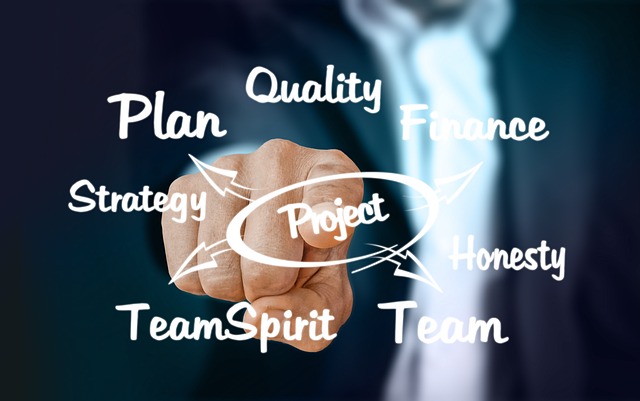 businessman, plan, quality, strategy, team, production planning, steering, structural organization, work process, finance, business administration, work organization, flow of information, information 
