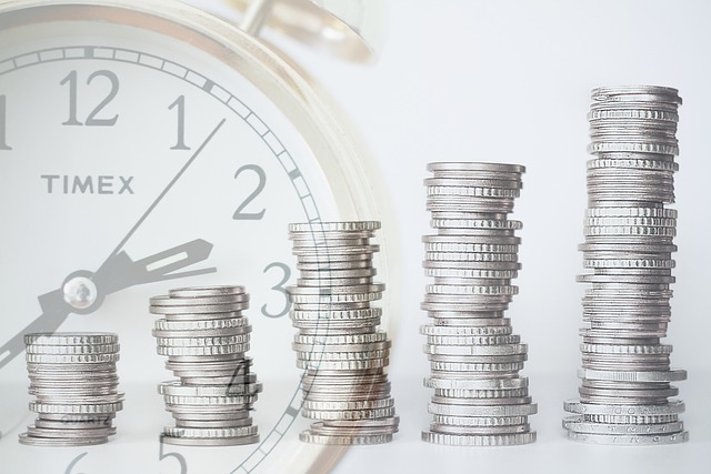 investment, finance, time, return on investment, interests, growth, business, financial, money, invest, graph, earnings, loan, profit, credit, coin, income, investor, clock, return, roi, wealth, rich,