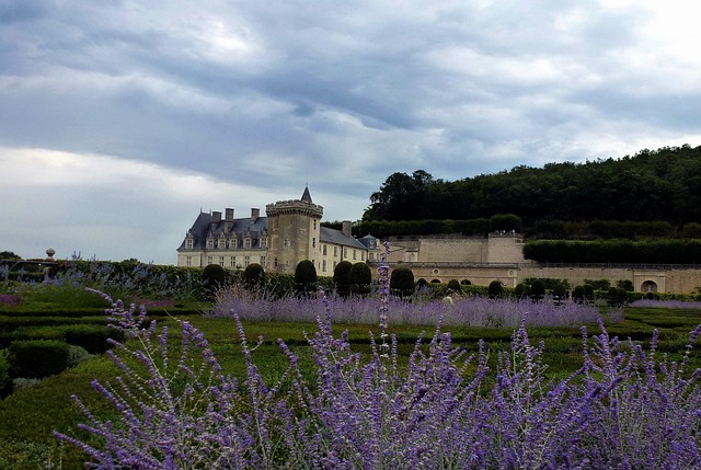 castle of villandry, garden, nature, architecture, french, renaissance, indre-et-loire, loire