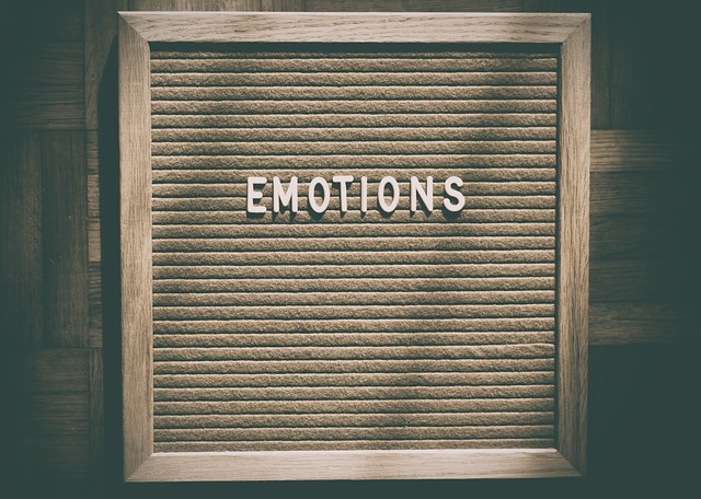 minimalism, emotions, feelings, joy, love, luck, mourning, feeling, affection, sad, laugh, cry, evil, delighted, infuriated, friendly, aversion, happy, smile, funny, emotions, emotions, emotions, emot