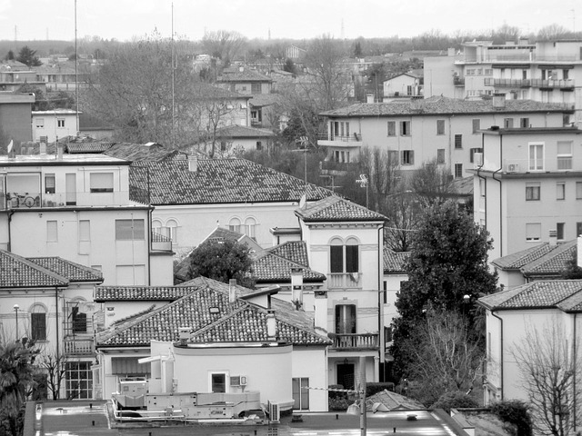 architecture, vintage, black and white, houses, roof, windows, building, wall, brick, retro, stone, balcony, mestre, italy, europe, city, townhouses, trees, top, urban, town, community