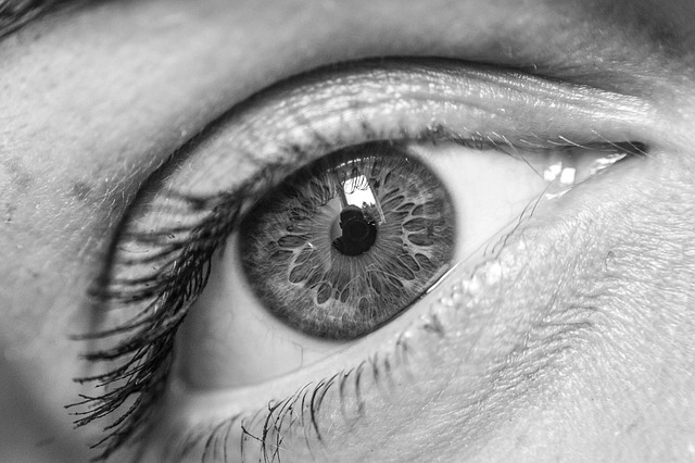eye, vision, sight, monochrome, pupil, retina, eyelashes, look, girl, macro, closeup, eye, eye, eye, eye, eye