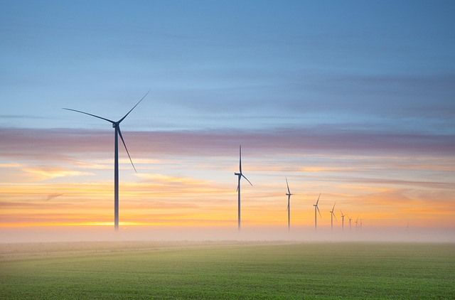 wind energy, wind turbines, windmills, renewable energy, nature, fog, sunrise, meadows, netherlands, landscape