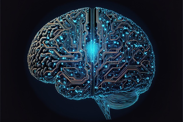 cyber brain, computer, brain, the internet, web3, 0, blockchain, cyber, artificial intelligence, brain, brain, brain, brain, brain, artificial intelligence, artificial intelligence, artificial intelli