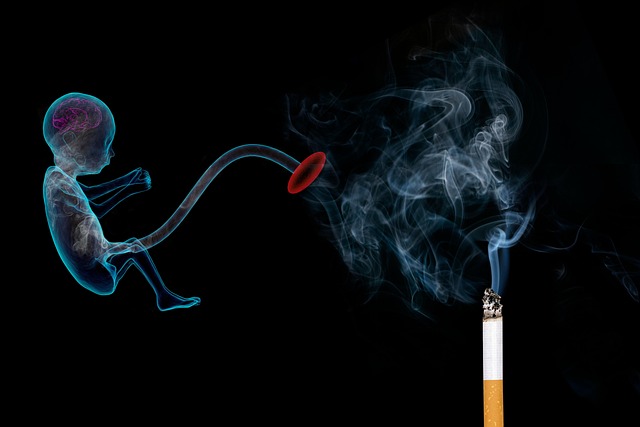tobacco, smoke, pregnancy, fetus, cigarette, addiction, pregnancy, pregnancy, pregnancy, pregnancy, pregnancy, fetus, fetus, cigarette