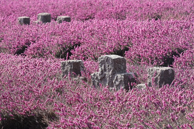 Effektiv læring: Teknikker for å huske mer og raskere
